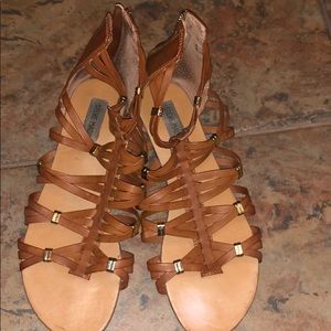 Gladiator Steve Madden Sandals